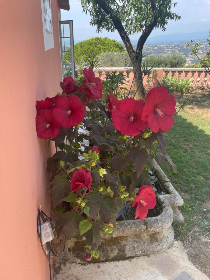 Chambre D'Hotes Duplex Le Petit Mas Nicois De La Villa Rose Ница Екстериор снимка